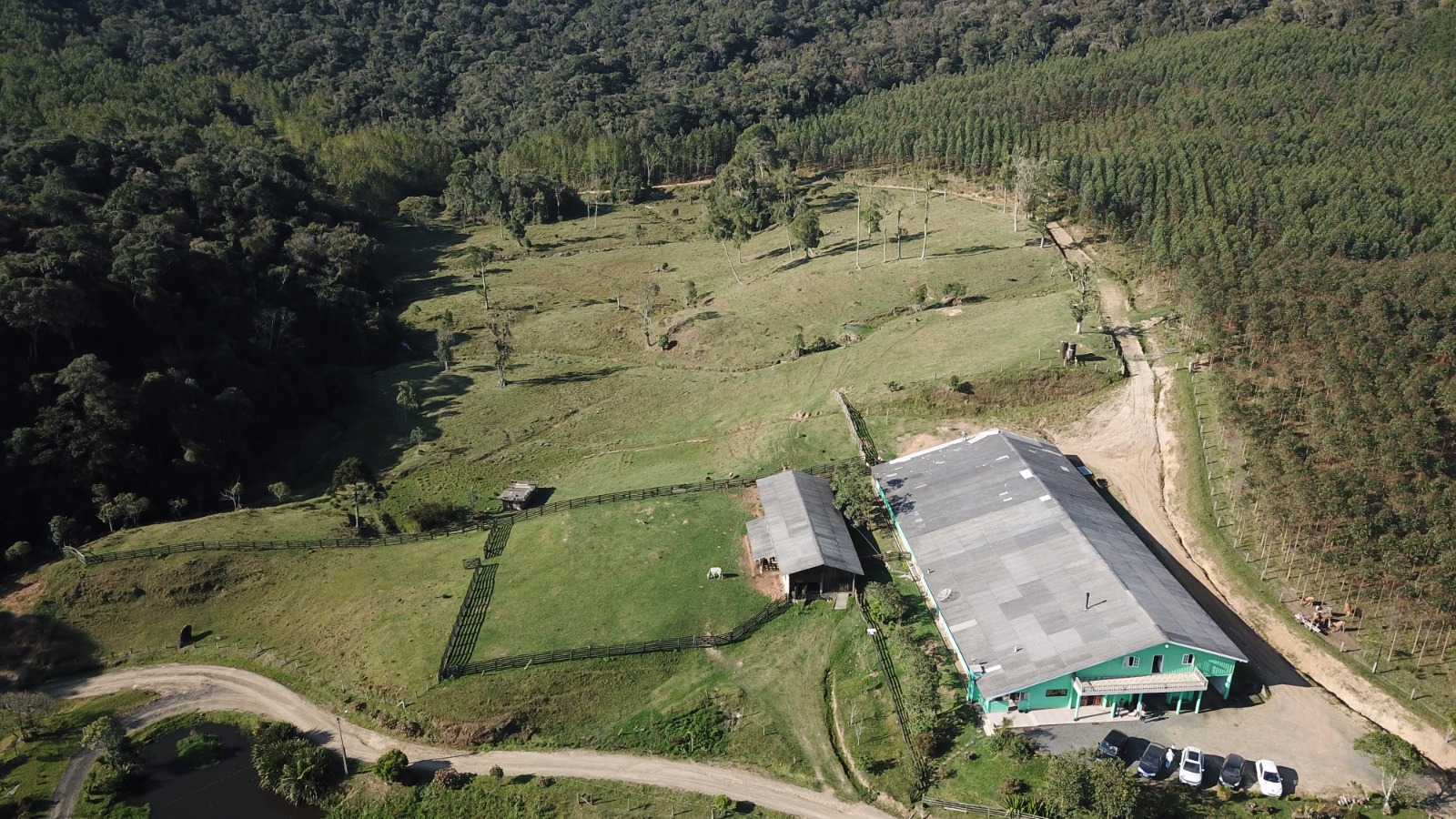 FAZENDA COM 607,58 HECTARES  ( REFLORESTAMENTO EUCALIPTO) EM BENDEDITO NOVO -SC - JAC Leilões | Site do leiloeiro oficial de Cascavel/PR - Jefferson Adriano Costa