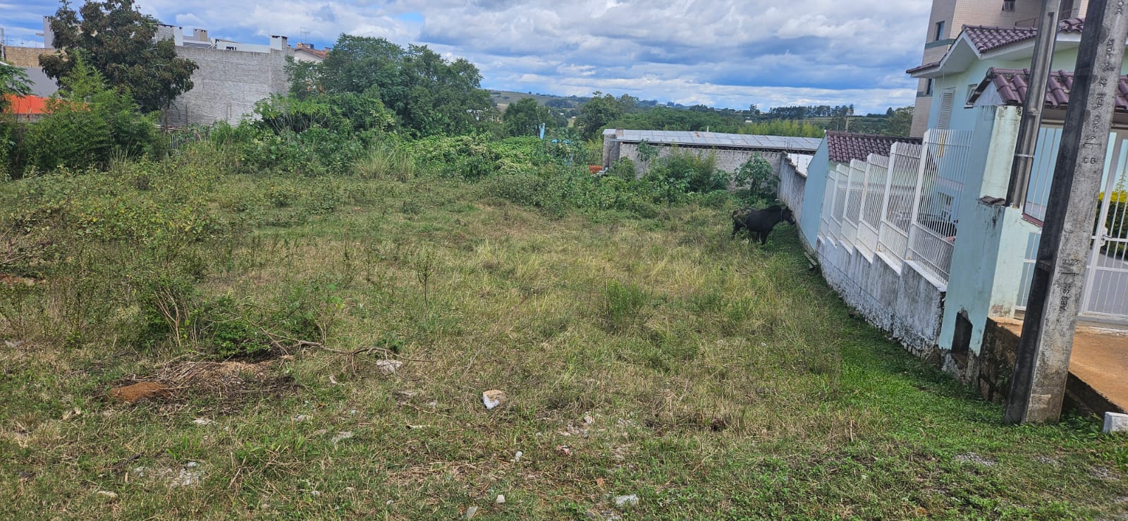 TERRENO 396,40M2 (SÃO SEPE/RS) - Regional Leilões