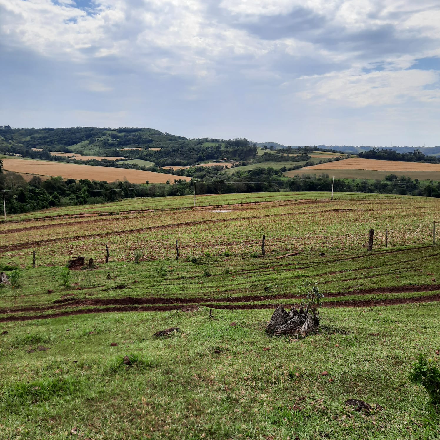 FAZENDA COM 74 HECTARES EM LINDOESTE - PR  (DUPLA APTIDÃO) BOA DE  AGUA E ESTRUTURA, COMO,  CASA E MANGUEIRAS, CERCA ELETRICA - JAC Leilões | Site do leiloeiro oficial de Cascavel/PR - Jefferson Adriano Costa
