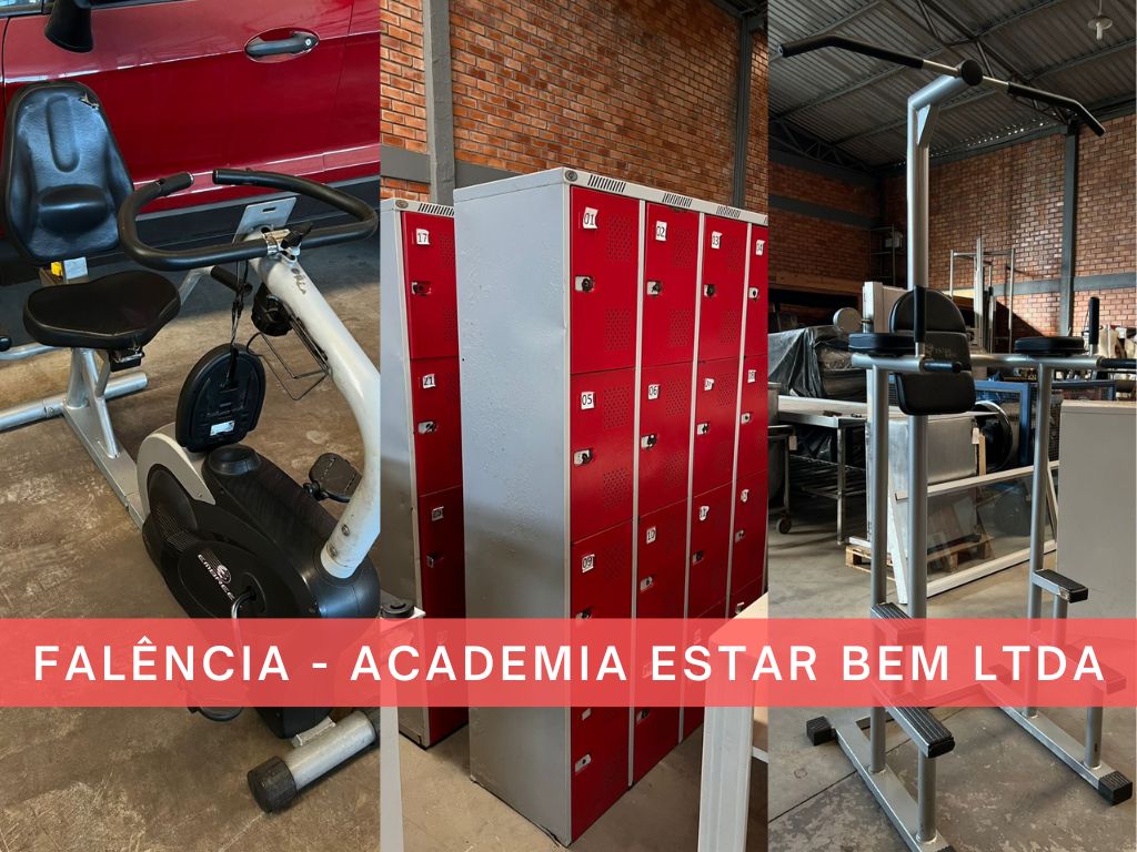 LEILÃO JUDICIAL - APARELHOS DE ACADEMIA E BENS DIVERSOS - Raupp Leilões - Naio de Freitas Raupp - Leiloeiro Oficial