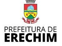 LEILÃO DE BENS INSERVÍVEIS DA PREFEITURA MUNICIPAL DE ERECHIM/RS - Fernanda Leilões