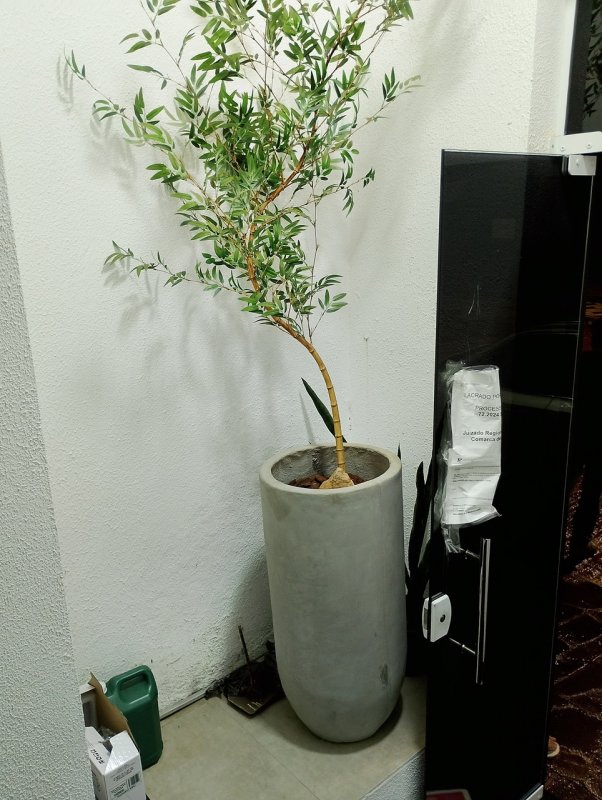 4 VASO DE CIMENTO COM PLANTA - Grandes Leilões