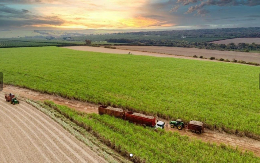 LOTE DE FAZENDAS AGROCANAVIEIRAS - ÁREA 2.950 HA (29.507.692M²) -  TERRENO E RESPECTIVAS CONSTRUÇÕES. PAGUE EM ATÉ 60 VEZES. - Rafael Coutinho - Leiloeiro Público Oficial