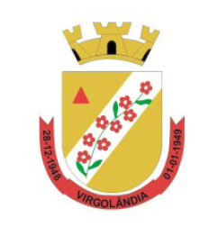 PREFEITURA MUNICIPAL DE VIRGOLÂNDIA - MG - Melhores Leilões - Sandro Rodrigues Pinto - Leiloeiro Público Oficial - Matrícula 1044