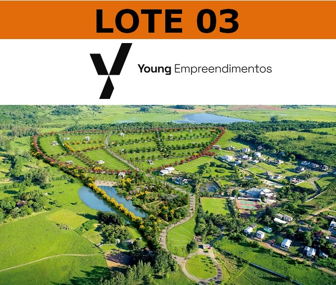 LEILÃO DE TERRENO URBANO EM SANTO ANTÔNIO DA PATRULHA/RS - Ferronato Leilões
