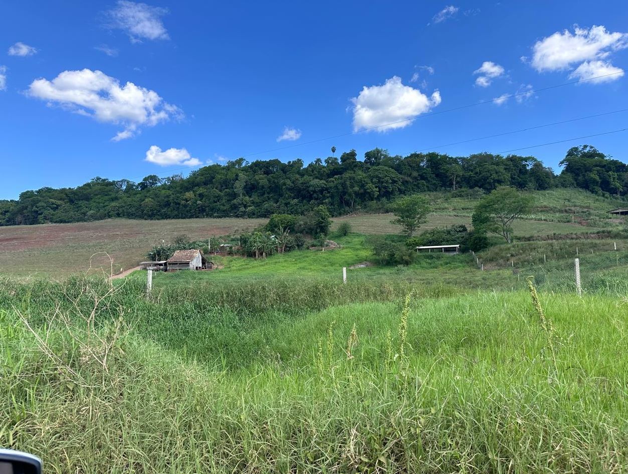 LEILÃO- VARA ÚNICA QUILOMBO- 1 ª PRAÇA- PARTE DO LOTE RURAL Nº 10, DA FAZENDA SAUDADES, 210.000,00M², NA CIDADE DE SANTIAGO DO SUL/SC - Hasta Pública Leilões