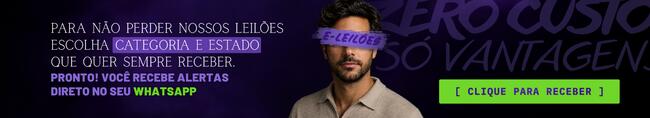 E-LEILÕES — Leilões Online