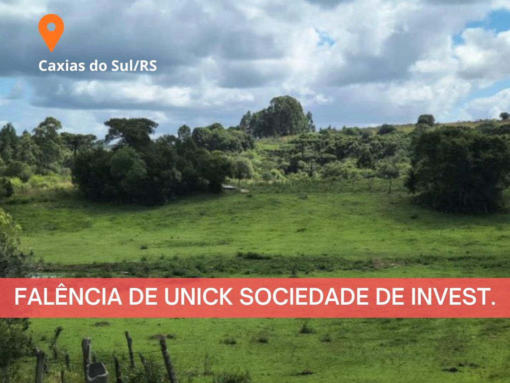 LEILÃO JUDICIAL - UMA ÁREA DE TERRAS C/ 27,62 HECTARES, EM CAXIAS DO SUL/RS - Raupp Leilões - Naio de Freitas Raupp - Leiloeiro Oficial