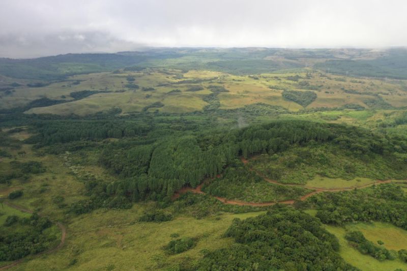 10% de área rural com 94ha - lages