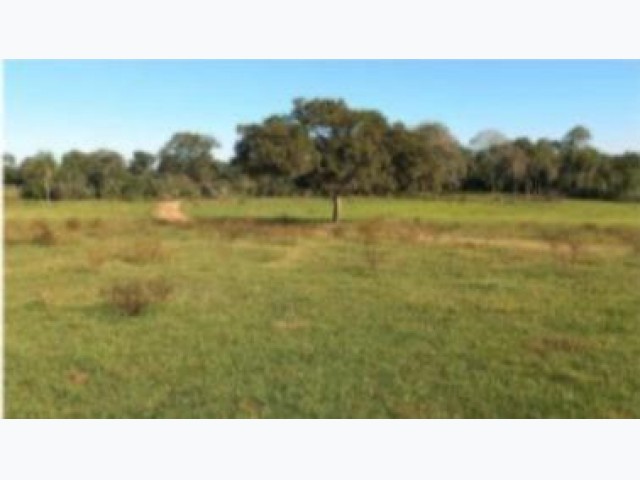 Fazenda barreiro preto a.t. 70 ha - caracol/ms