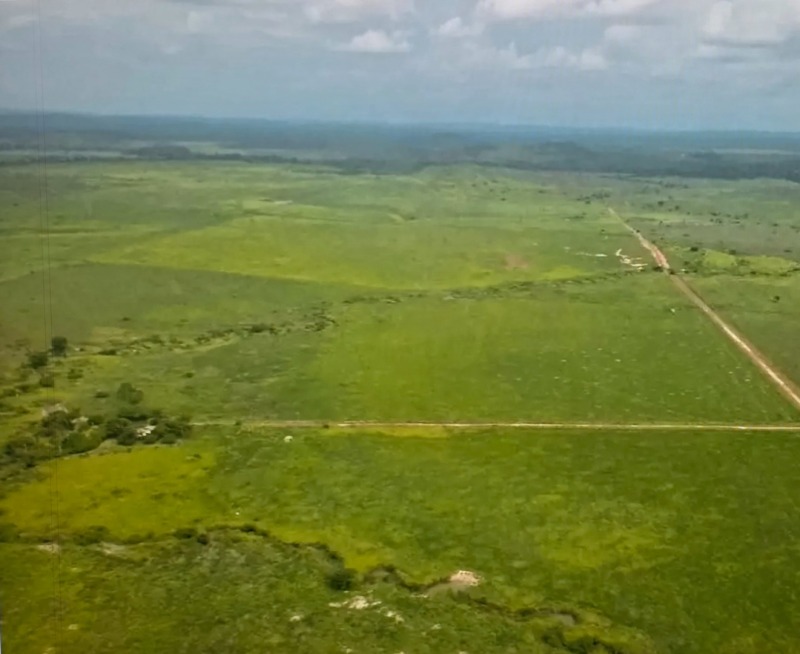 EXCELENTE IMÓVEL RURAL EM LAGOA GRANDE/MG (116,46 HA) - Lote 001 (ID 27643)