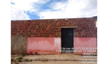 Lot nova cha de alegria - iii
