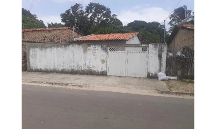 Apicum-acu - mangueirão