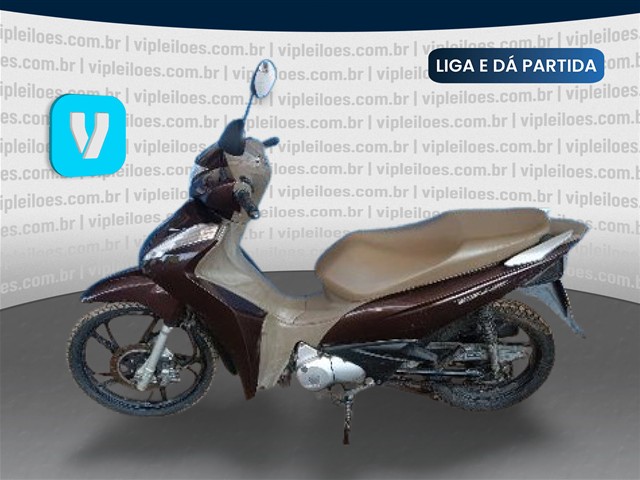 BIZ 125 - 2021/2021
