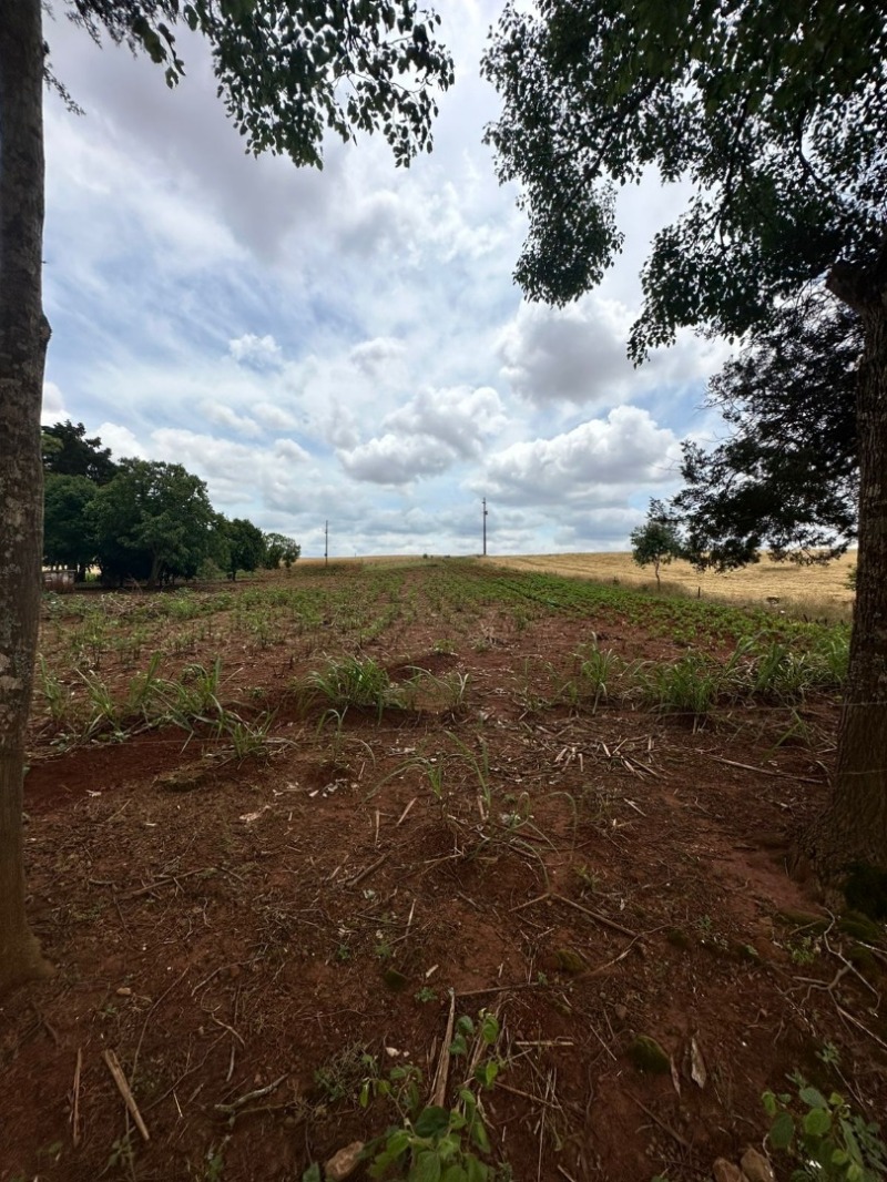 OS DIREITOS DE POSSE E PROPRIEDADE DE UM IMÓVEL RURAL COM APROXIMADAMENTE 11.718,00M², - Lote 001 (ID 2929)