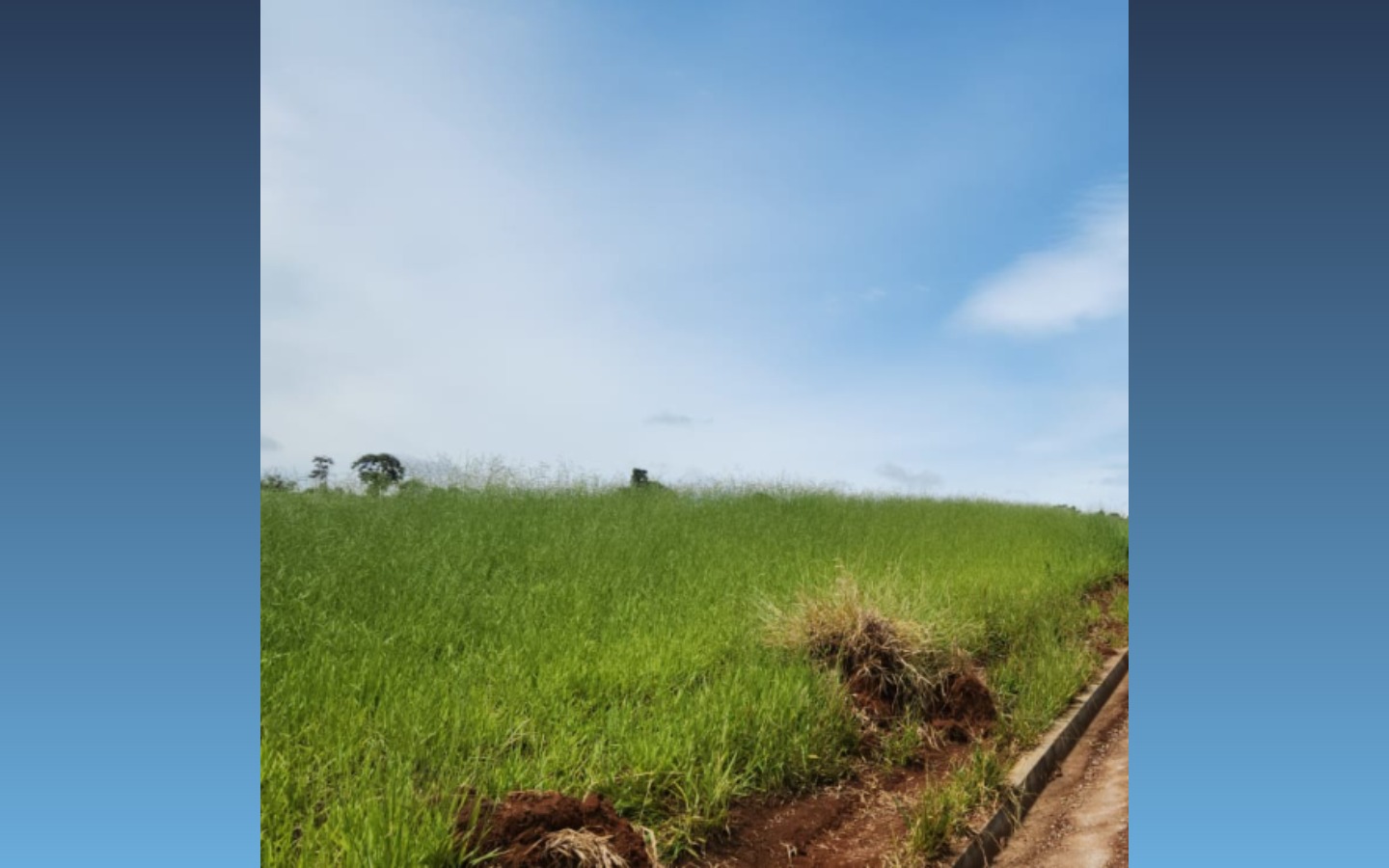 Terreno de 1.093m² — são sebastião da bela vista/mg