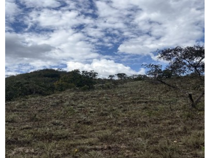 Área rural à venda em leilão