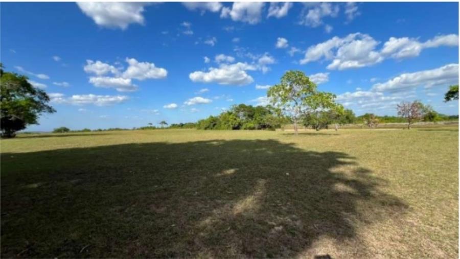 Leilão unificado de bens móveis e imóveis | trf 1ª região - 1 lote de terras rural | área de .795,3520ha | amajarí/rr