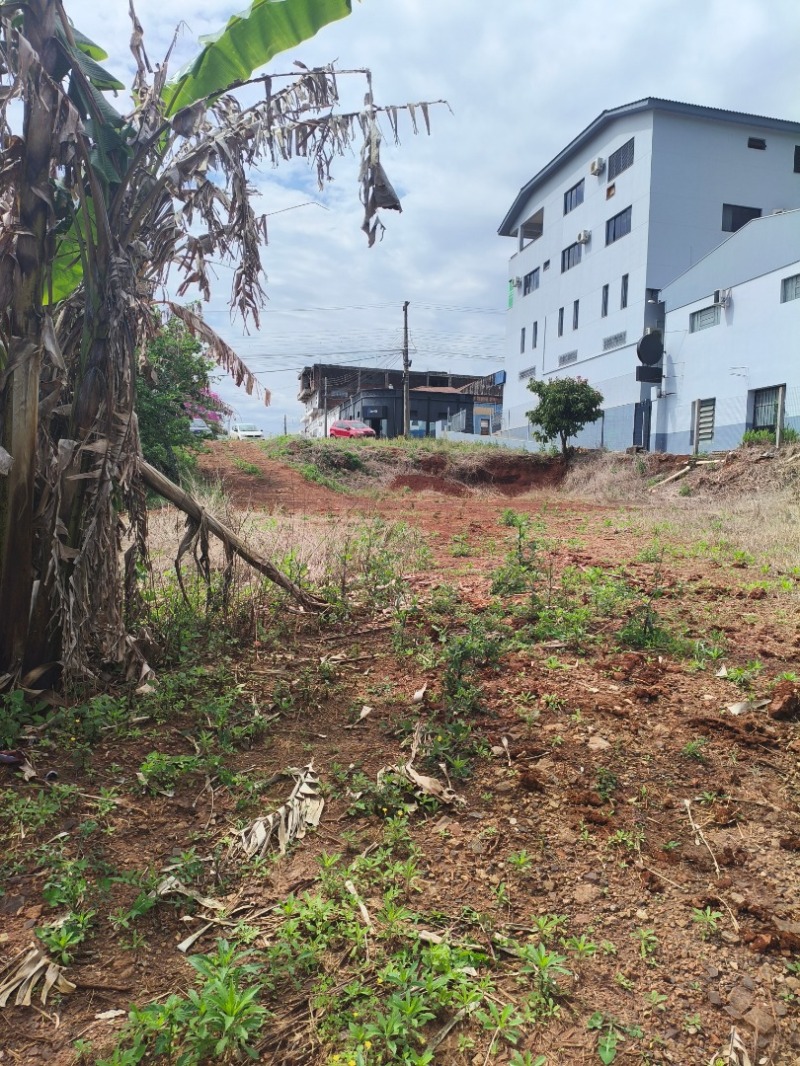 Terreno urbano, com a área de 1.110m², situado na rua franklin siliprandi, bairro centro, em constantina/rs
