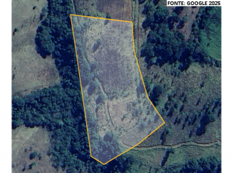Poços de Caldas - Campestre/MG - Olímpia - Indaiatuba/SP - Imóveis Urbanos e Rurais - Veículo