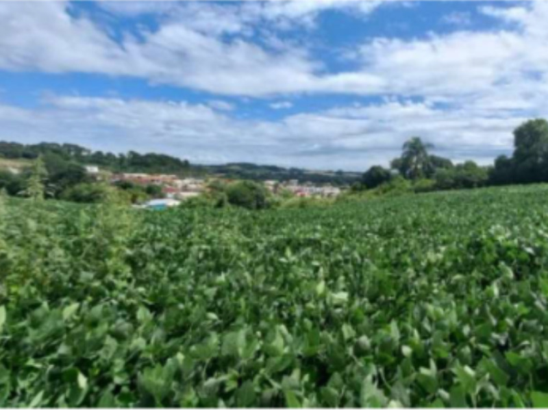 Leilão Empresarial - Lote 001 (ID 14671)