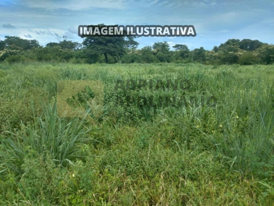 Leilão - fazenda em lagoa dos patos - fazenda mucambo 159,76 hectares
