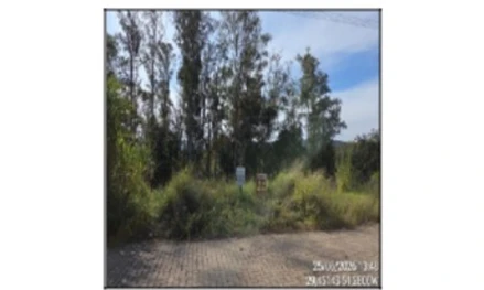Terreno em Leilão em Feliz / RS - 3048972