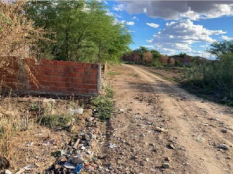 Lote 003