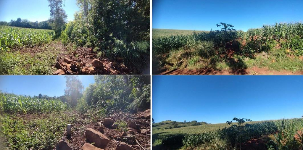Lote Rural com A.T. 84.000m², Município de Pérola D' Oeste/PR