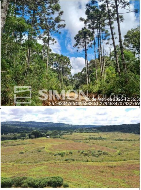 Lote 001 - imóvel rural
