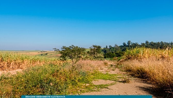 Imóvel Rural 47 ha (Sítio Trinta e Cinco) - Rio das Pedras - SP