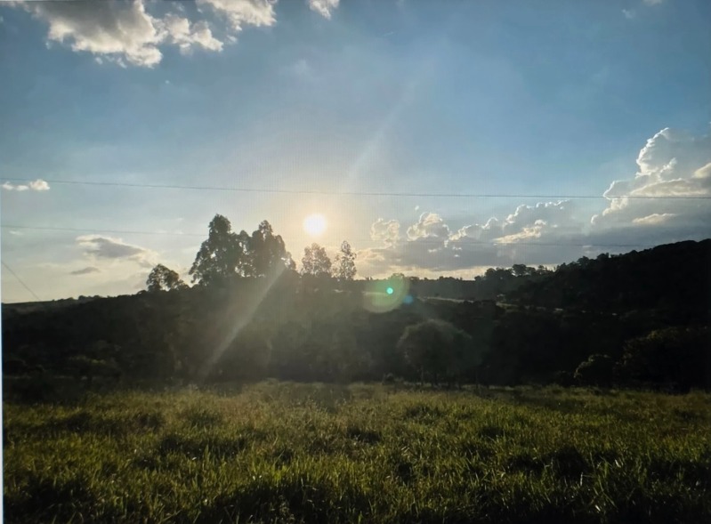 VEÍCULOS DIVERSOS, IMÓVEIS EM JUIZ DE FORA, GOIANÁ/MG E RESSAQUINHA/MG E BENS DIVERSOS - Lote 004 (ID 27807)