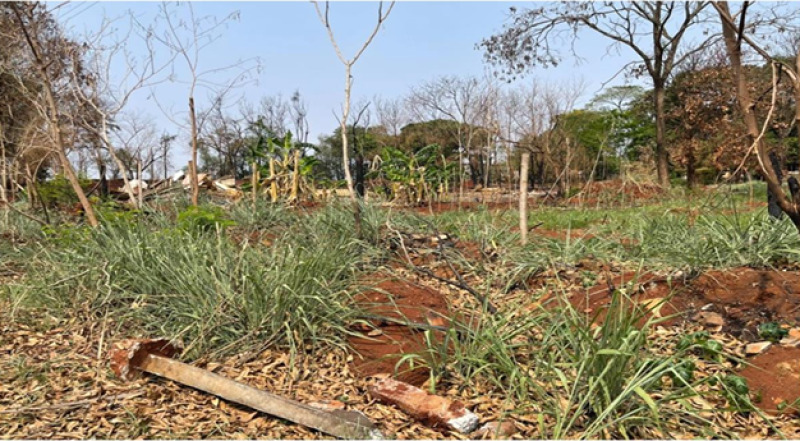 LEILÃO DA MASSA FALIDA DE IRMÃOS SALA LTDA - Lote 010 (ID 48096)