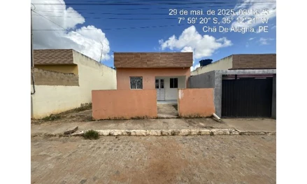 Cha de alegria - lot nova cha de aleg