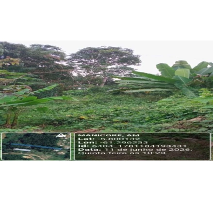 Terreno em Leilão em Manicoré / AM - 3043209