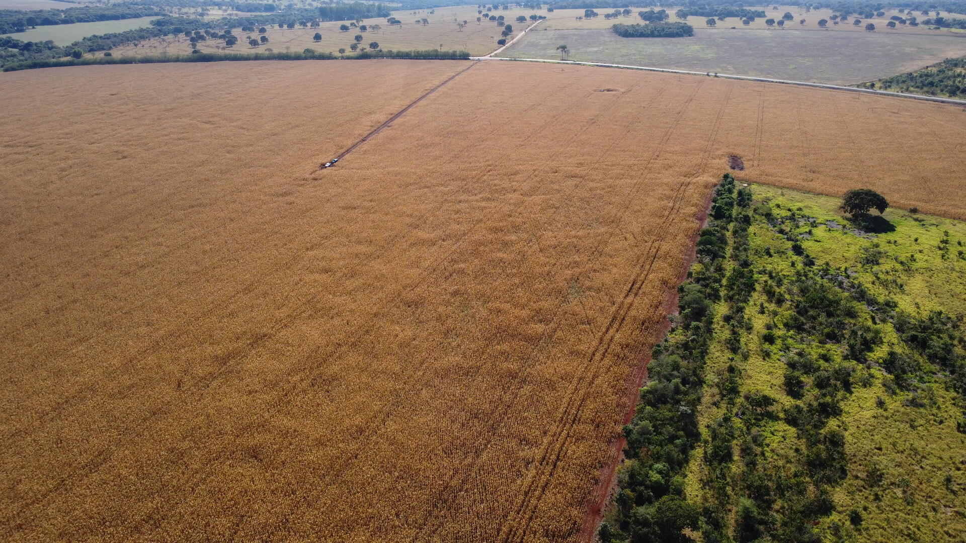 Chácara boa vista, área rural com 30 hectares na ms-040, em campo grande/ms