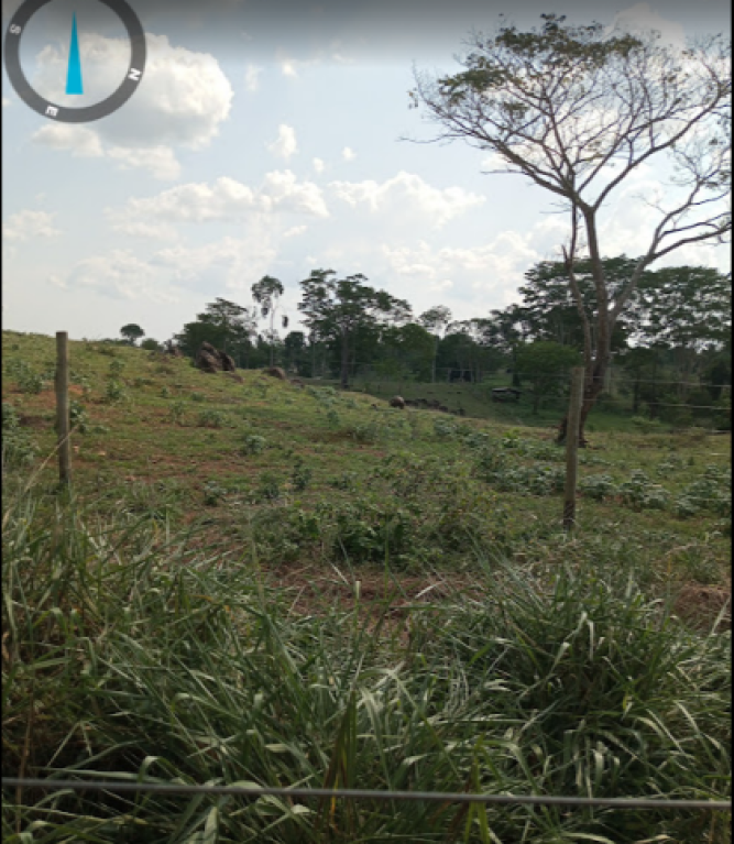 Imóvel rural — 367,2764 ha — Alta Floresta D'Oeste/RO