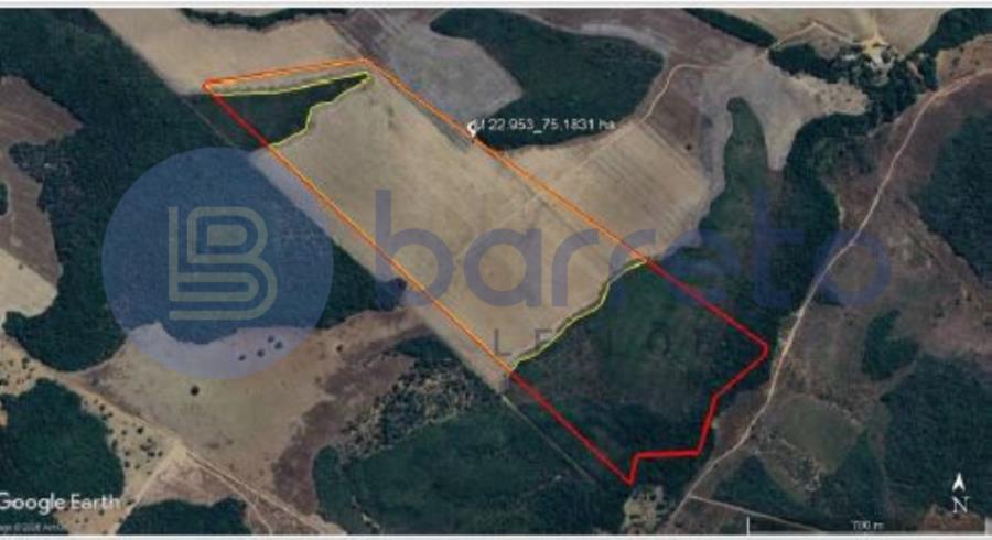 IMÓVEL RURAL | A.T. 75,18 HA CULTIVO DE GRÃOS PARTE LOTE 10 LOT. MANGUES 3ª ETAPA | PORTO NACIONAL/TO