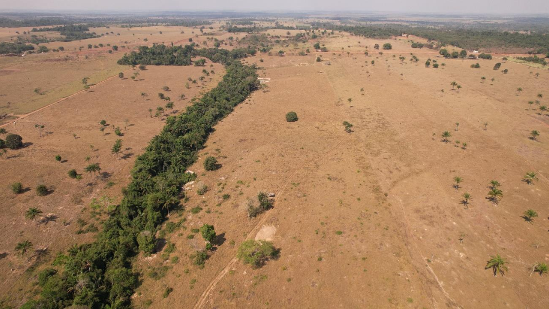 Lote 9: área rural com 6,9475 ha - rolim de moura rolim de moura ro
