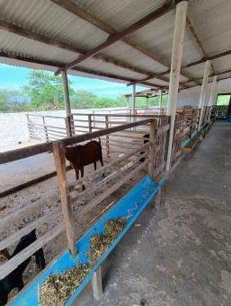 Imóvel rural em Sertânia/PE