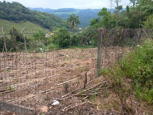 Lote 01: totalidade dos bens melhores descritos nos lotes 2 e 3 - areas de terras urbanas, em caminhos da eulalia, bento gonçalves/rs