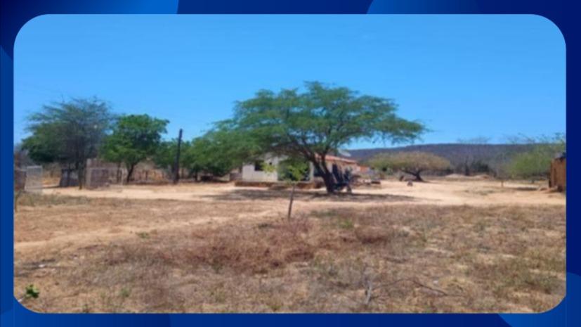 GLEBA DE TERRAS COM BENFEITORIAS - SÍTIO ALAGOINHA, COM 2 CASAS, ZONA RURAL, ARARIPINA/PE, ÁREA DE 3 HECTARES (30.000M²) - Luis Leiloeiro