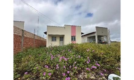 Res primavera iii
