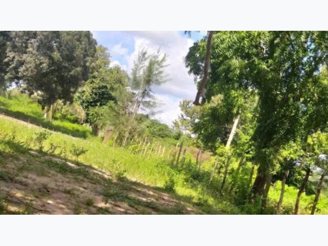 Gleba a.t. 59.186 m² - sítios novos, caucaia/ce