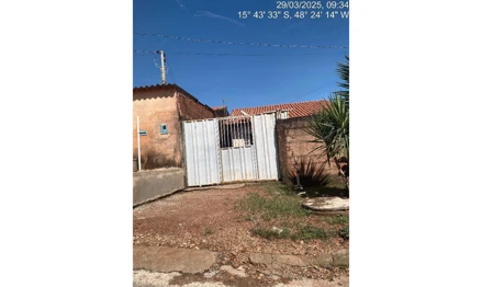 Cocalzinho de goias - girassol