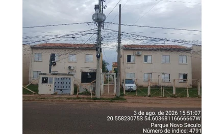 Cond res bem-te-vis