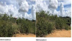 Terreno em leilão em Araçagi/PB