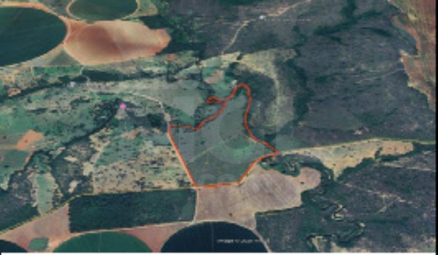Paracatu/mg – imóvel rural com a área de 49,76,36ha, denominada fazenda ouro verde fazenda em leilão | mgl leilões