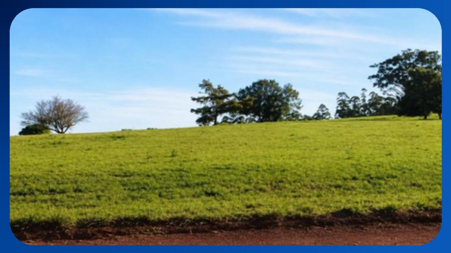 LOTE - Nº 08, QUADRA AF, RUA Nº 93, LOTEAMENTO RIVIERA DE SANTA CRISTINA II, RODOVIA RAPOSO TAVARES KM 274, ITAÍ/SP, ÁREA DE 350,00M² - Luis Leiloeiro