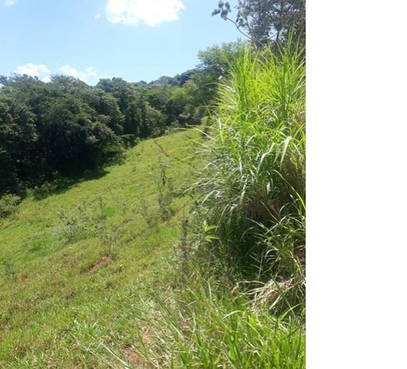 Imóvel rural, a.t. 60,50 ha, área de pastagem, preservação ambiental, colônia muquilão, roncador/pr